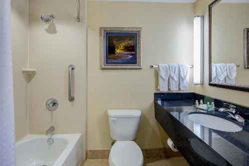 Holiday Inn Augusta West I-20 image 33